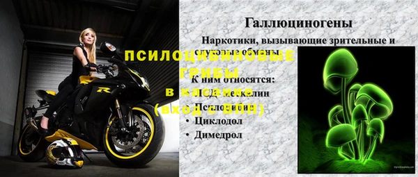 амф Мегион
