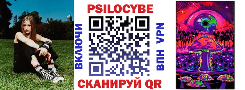 Псилоцибиновые грибы Psilocybe Саратов
