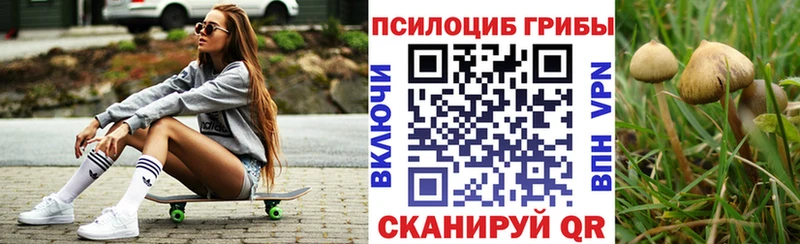 сколько стоит Саратов Галлюциногенные грибы GOLDEN TEACHER